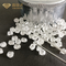 Labor gewachsener unpolierter Diamond Synthetic 2.5Carat Grad A HPHT rau
