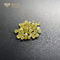 Fantastisches intensives gelbes Labor gewachsene farbige Diamanten HPHT 1ct zu 7ct